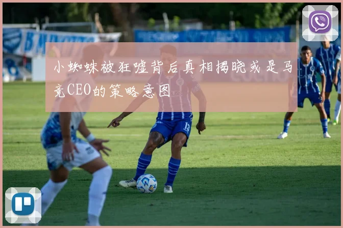 小蜘蛛被狂嘘背后真相揭晓或是马竞CEO的策略意图