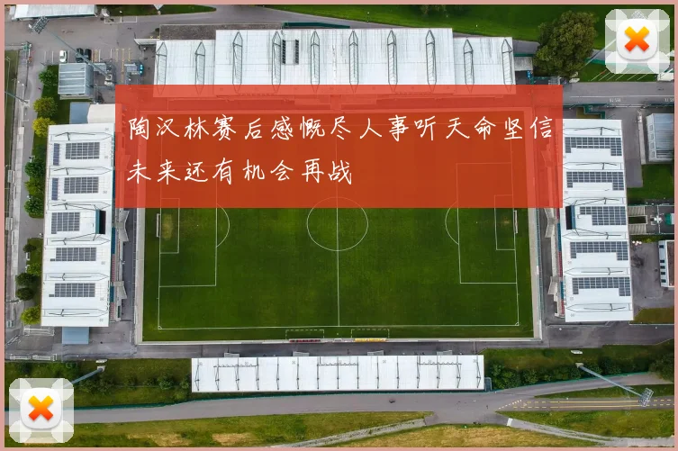陶汉林赛后感慨尽人事听天命坚信未来还有机会再战